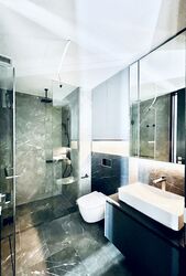 Irwell Hill Residences (D9), Apartment #445998941